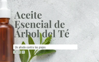 Tu Aliado Contra los Piojos